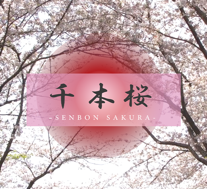 亚洲中文字幕永久在线不卡
